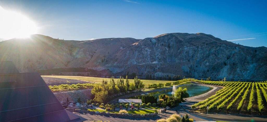 Vineyard views at Rocky Pond Estate in North Central Washington, with rows of grapevines, a tranquil pond and fountain, and rolling hills beneath a clear blue sunrise sky.