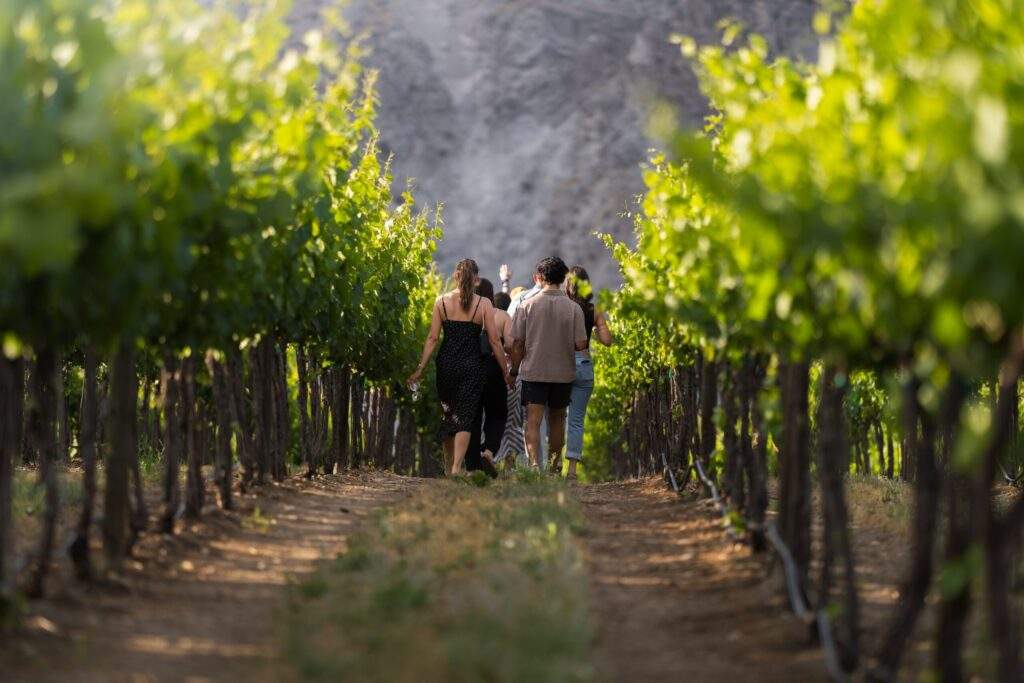 A group of people walk through rows of grapevines at Rocky Pond Estate in North Central Washington on a sunny day, enjoying scenic vineyard views, with green leaves and dirt paths visible.